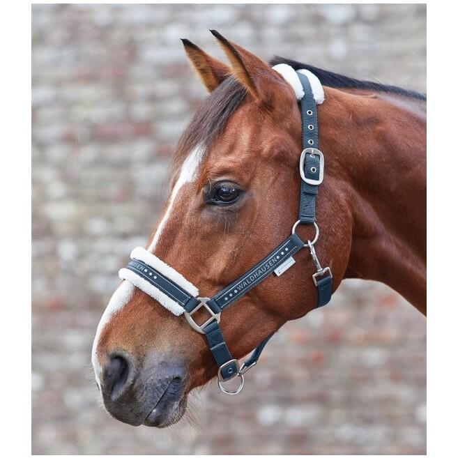 Waldhausen - Licol Pour Poney Avec Fourrure Waldhausen Elegant - Licol - Bleu - Ps - Decathlon
