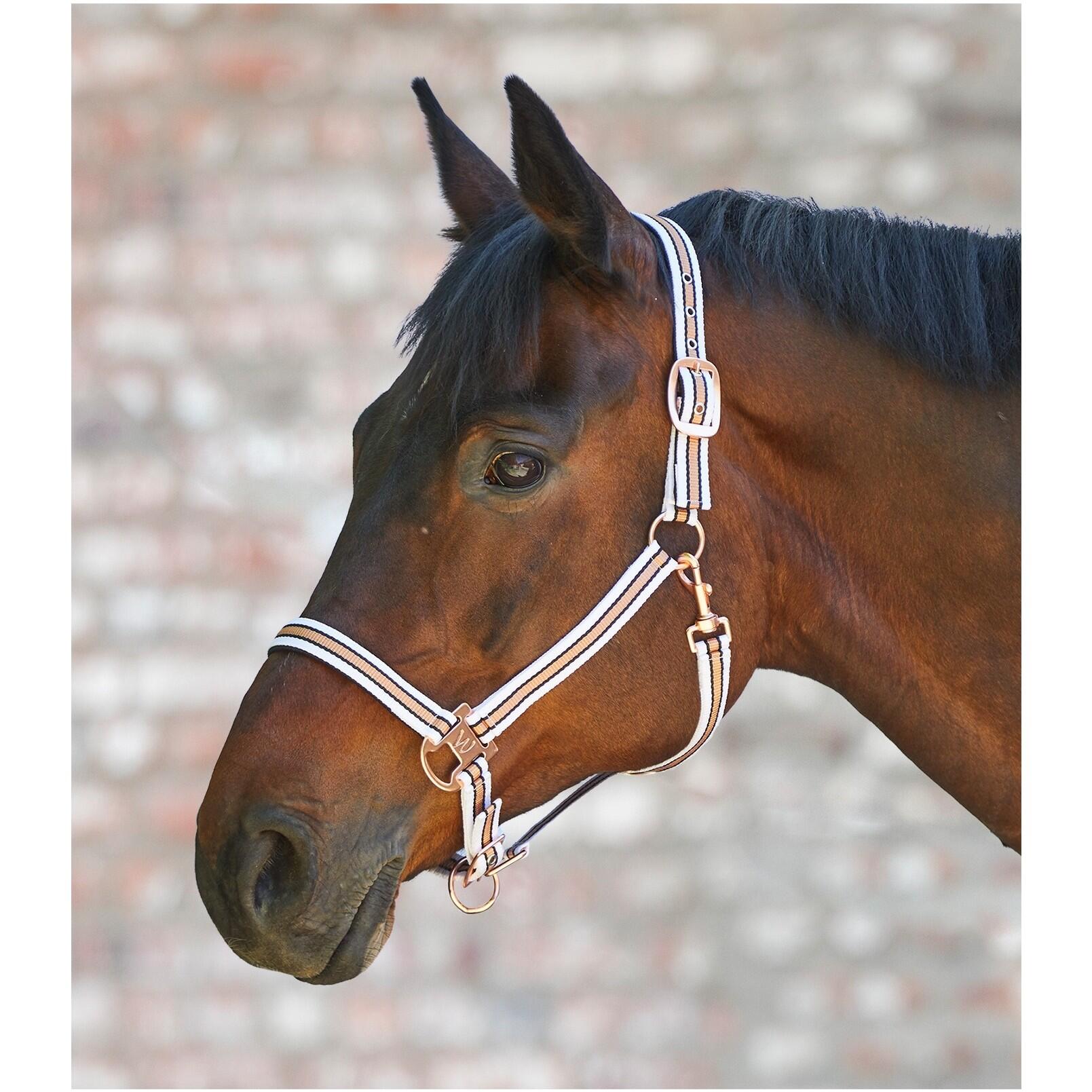 Waldhausen - Licol Pour Poney Satin Waldhausen Shine - Licol - Blanc - Ps - Decathlon