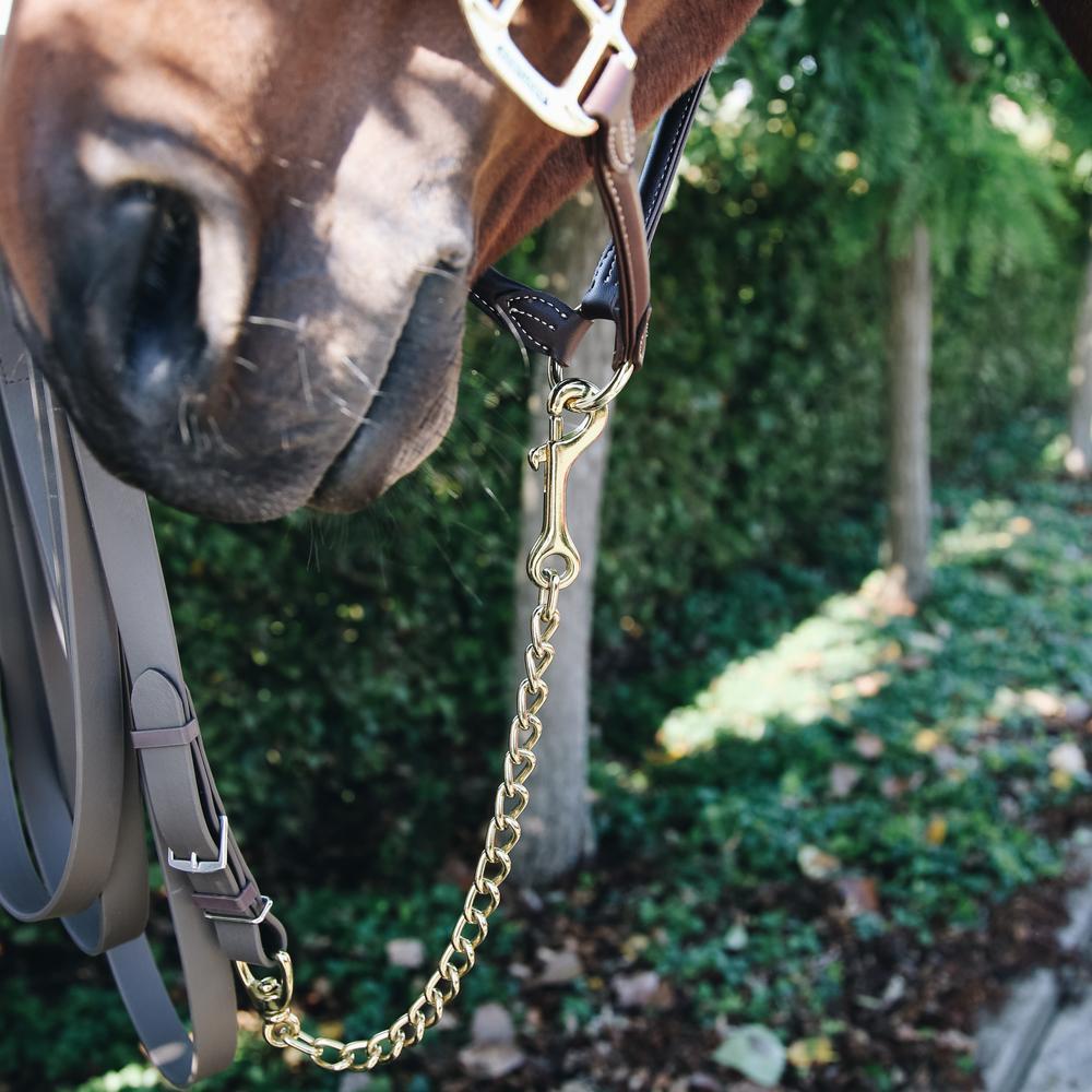 Catena di stalloni Kentucky 4/4