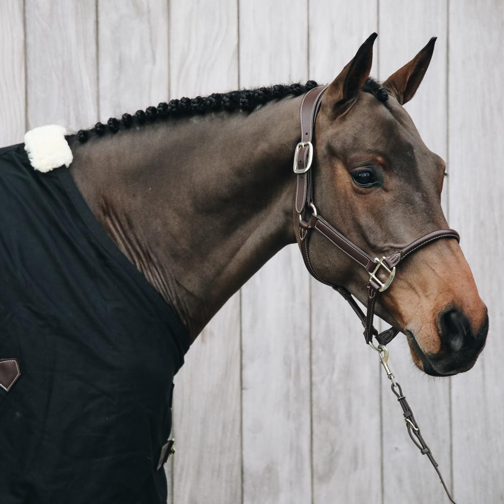 Anatomisches Lederhalfter Kentucky 5/7
