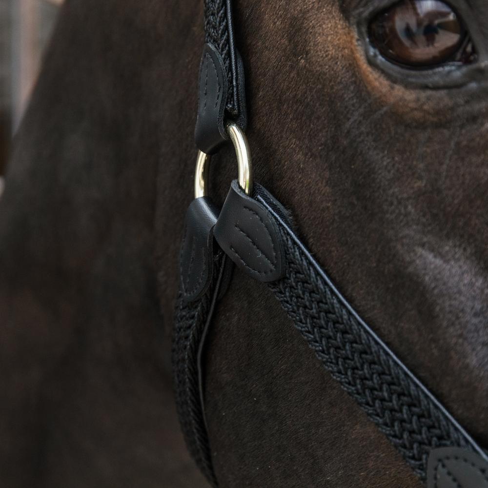 Licol nylon tressé noir Cob 3/4
