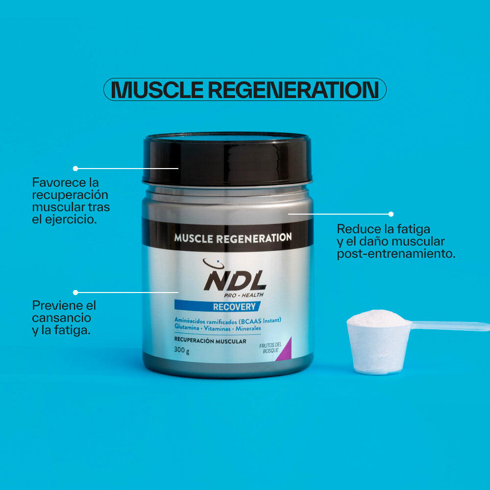 Muscle Regeneration 2/5