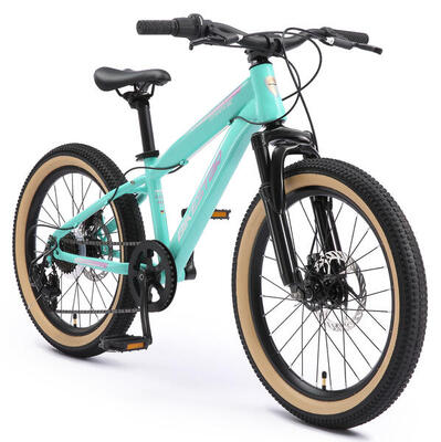 Mtb 20" kinderfiets 6 jaar, hardtail, 7 versnellingen, schijfremmen