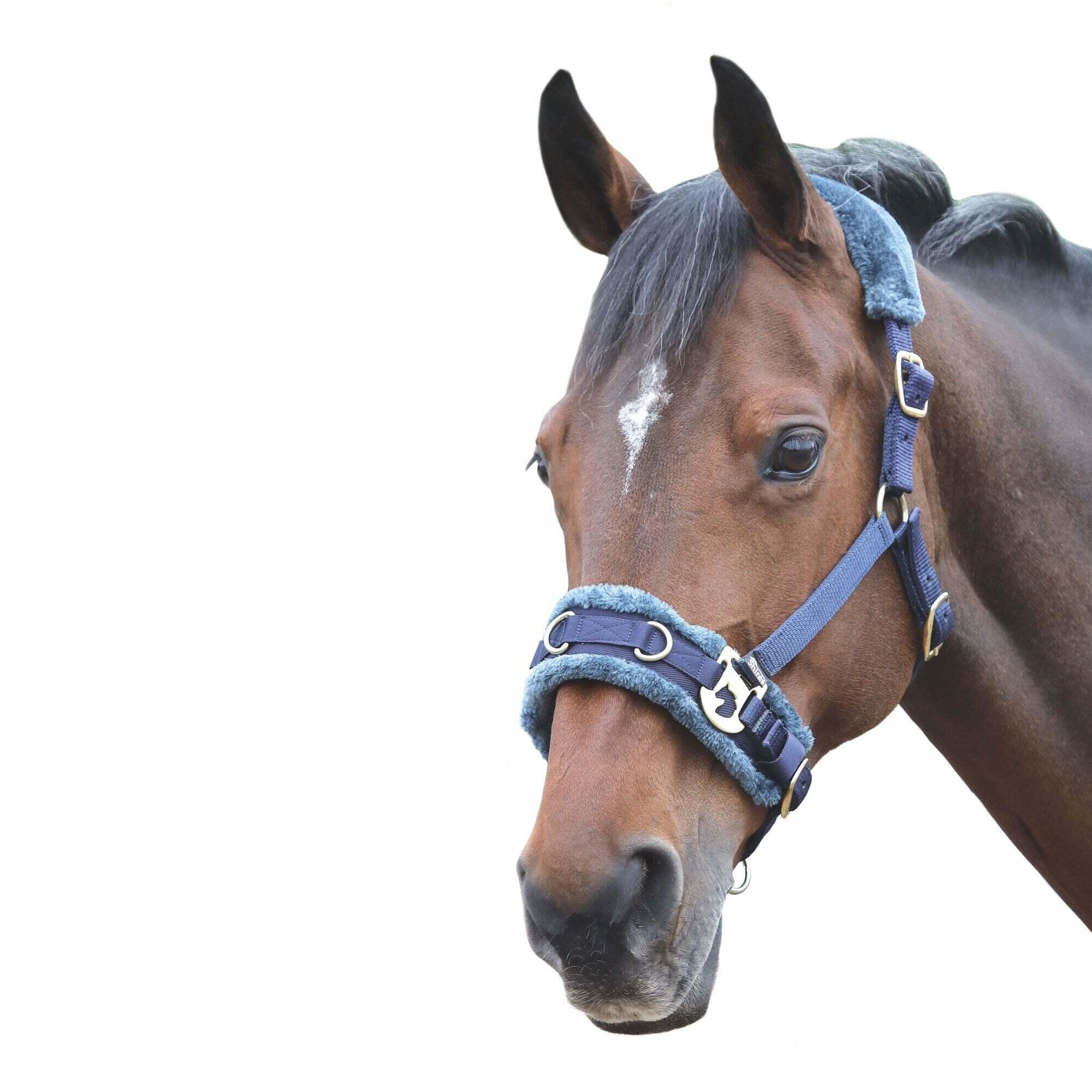Peluche Cavezza Per Affondo Del Cavallo Shires Blu Navy 3/3