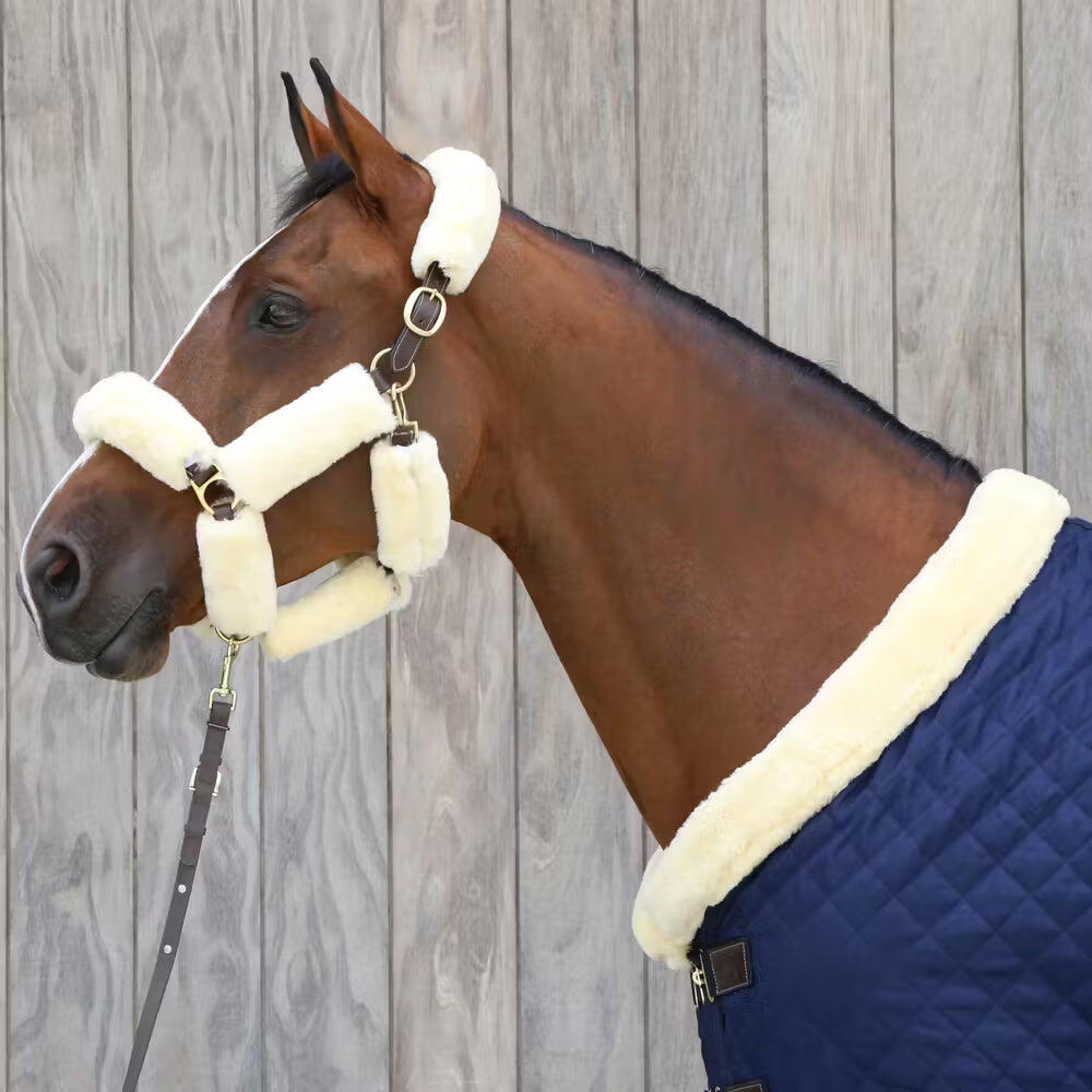 Longe équitation pour cheval de présentation cuir Kentucky 7/7