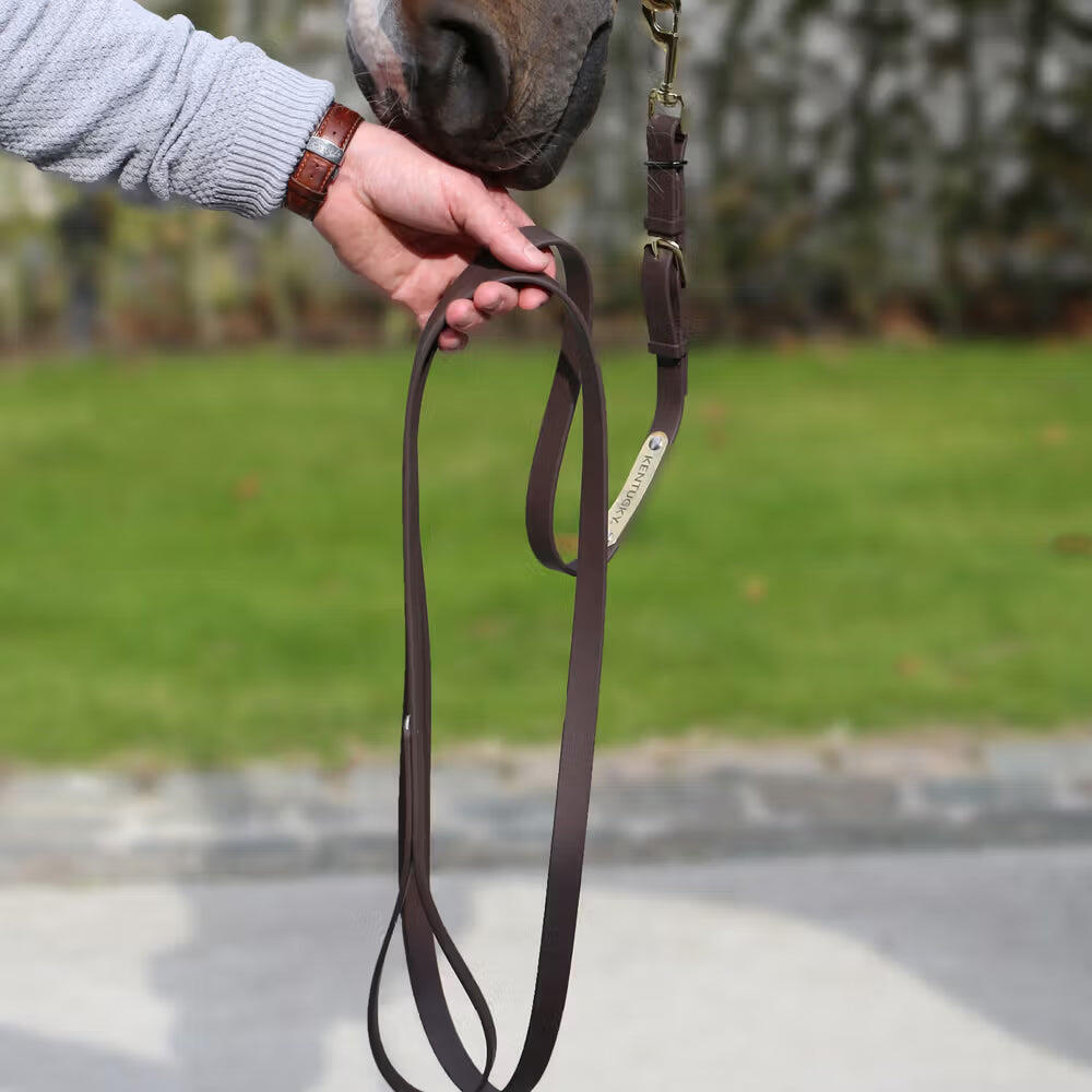 Longe équitation pour cheval de présentation cuir Kentucky 6/7