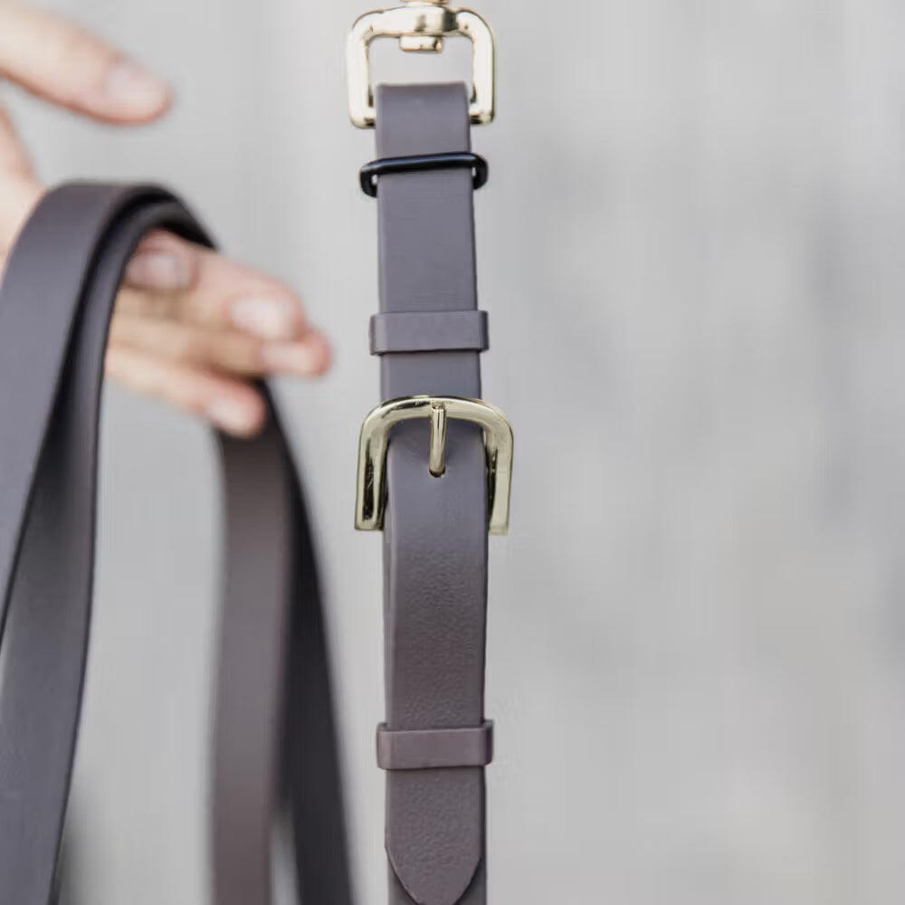 Longe équitation pour cheval de présentation cuir Kentucky 4/7