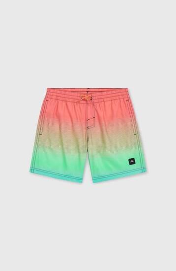 O'NEILL O'NEILL Maillots de bain Garçons Living Coral Simple Gradient Panel
