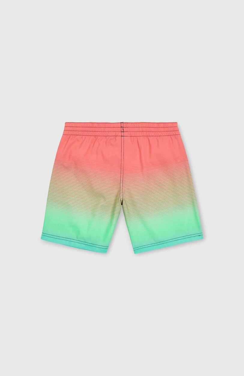 O'NEILL O'NEILL Maillots de bain  Garçons Living Coral Simple Gradient Panel 2/5