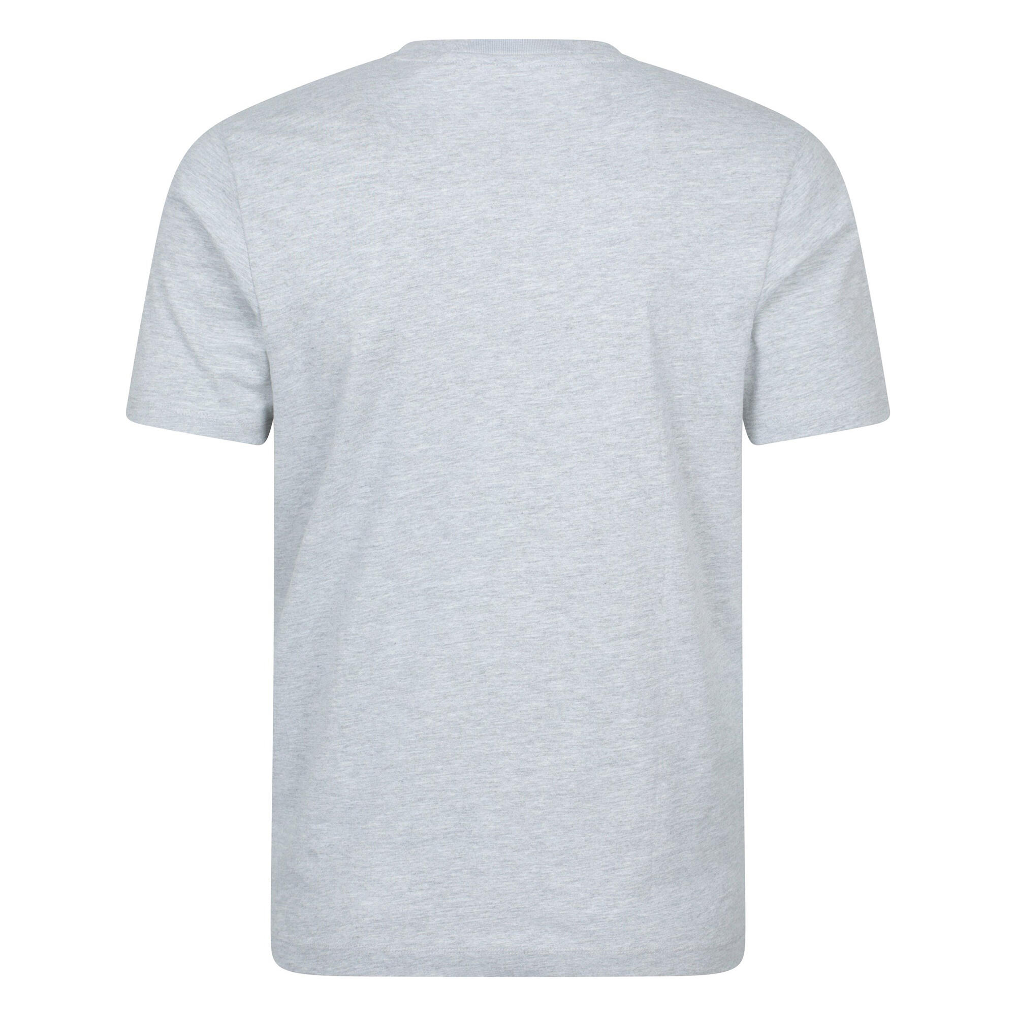 Tshirt SCOTLAND Homme (Gris) 2/4