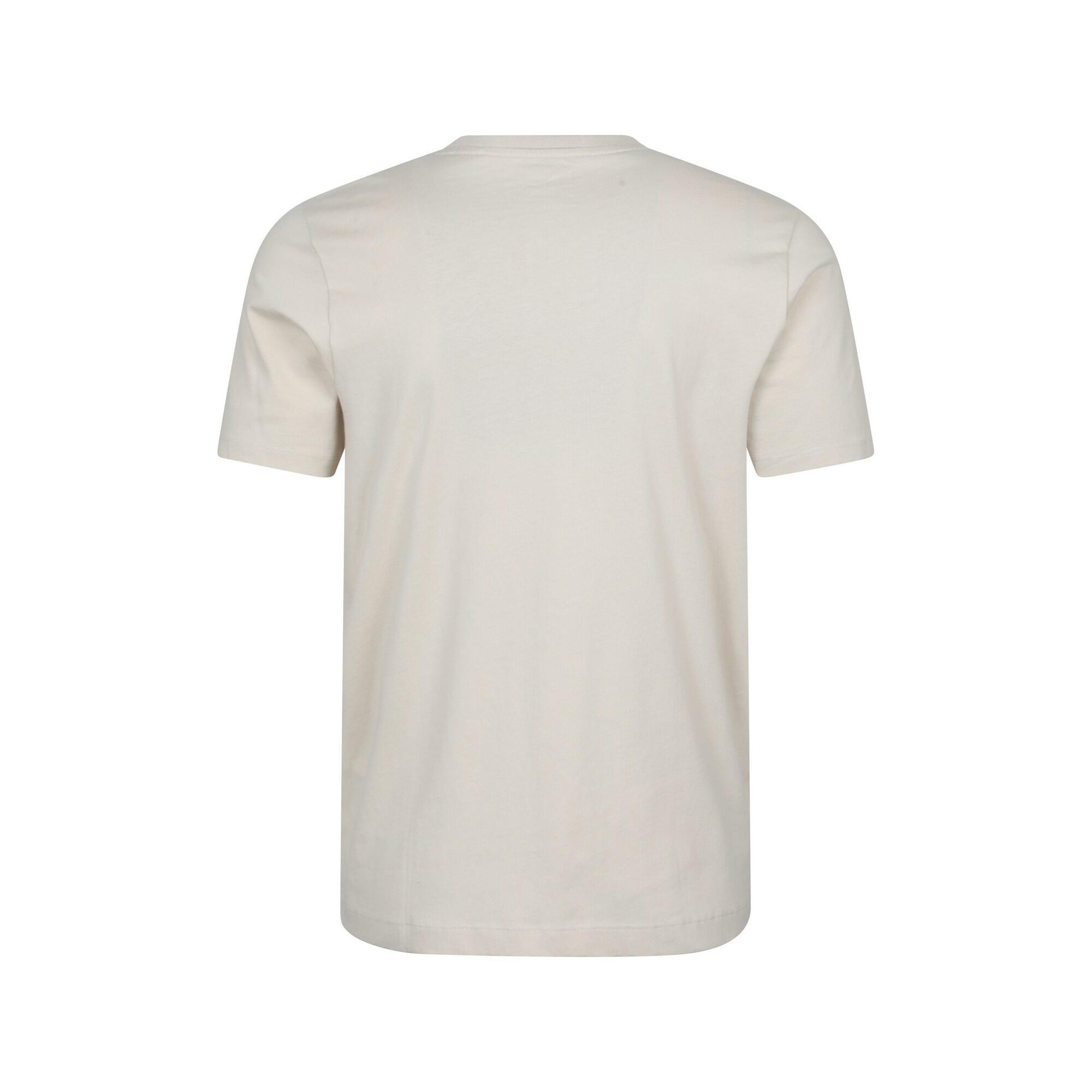 Tshirt Manches Courtes COTSWOLD Homme (Blanc Cassé) 2/4
