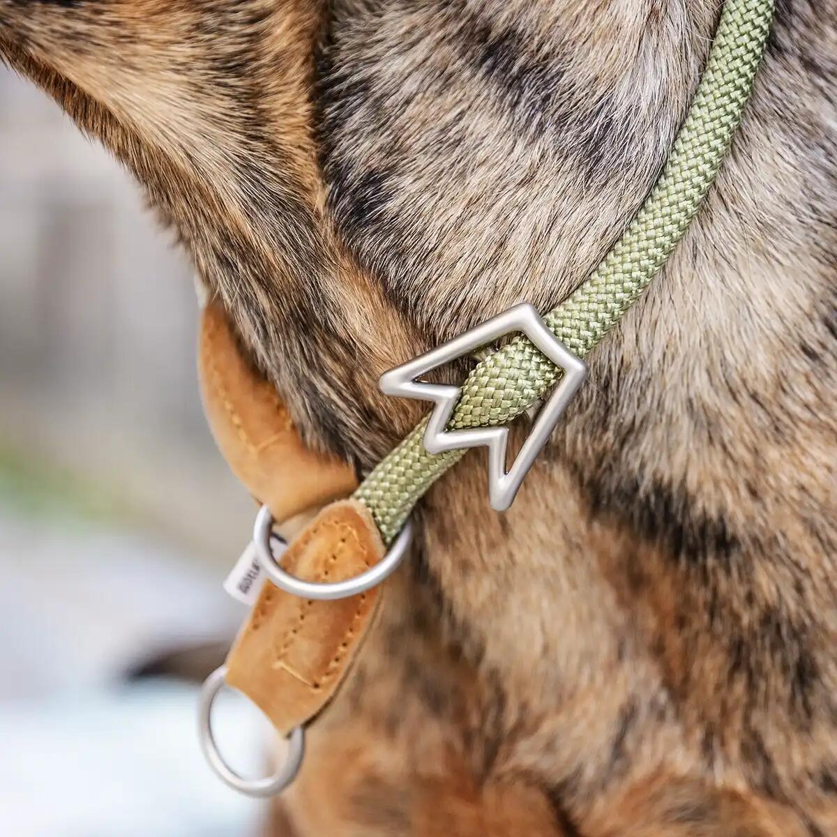 Rudelkönig Collier chien Emma anti-traction réglable 4/6