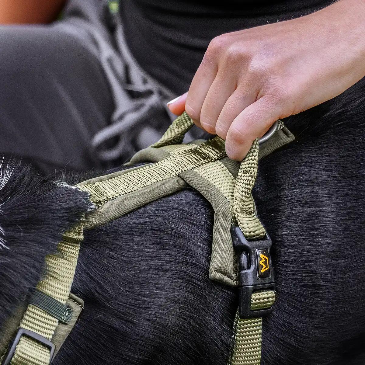 Rudelkönig Harnais pour chien Bella réglable rembourré 5/6
