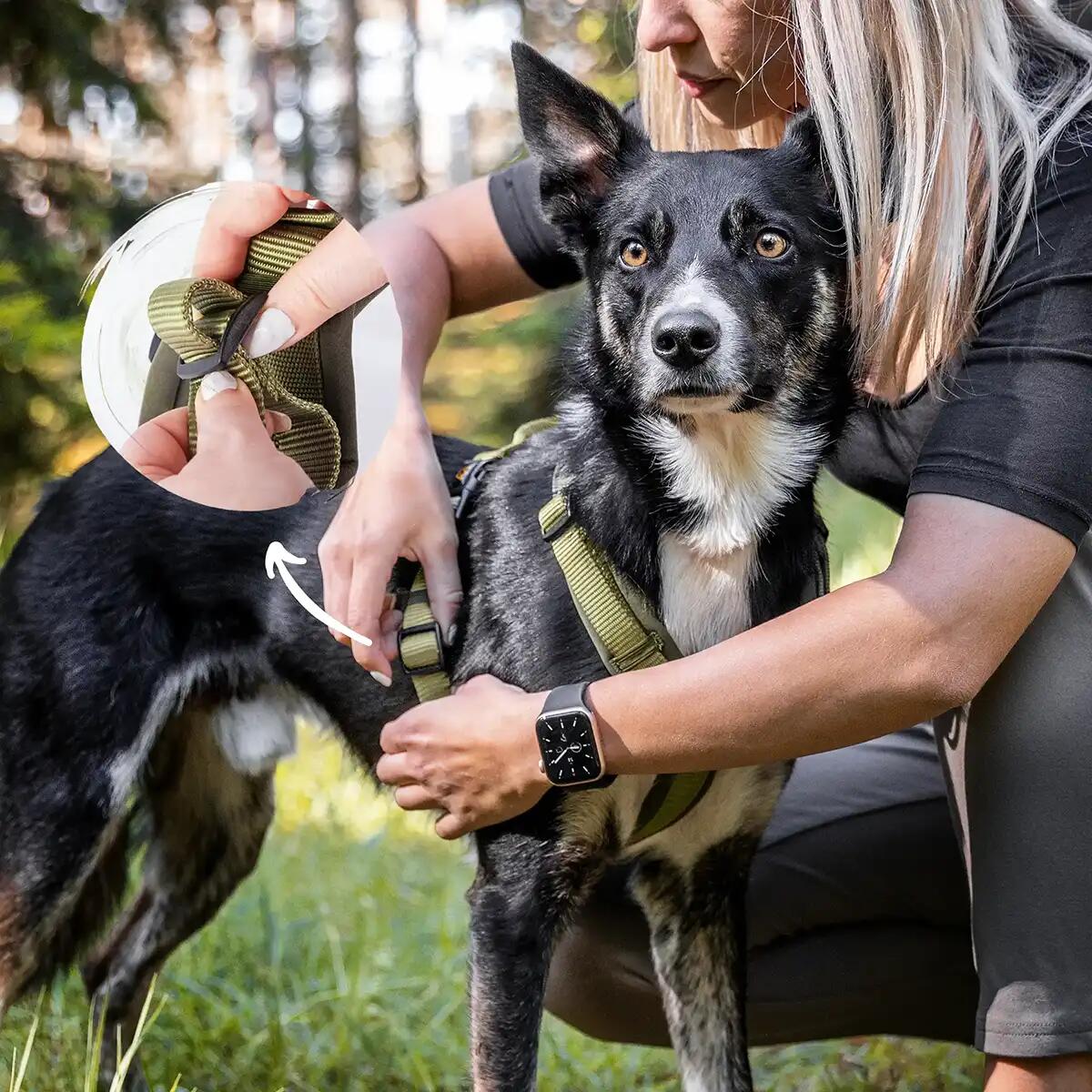Rudelkönig Harnais pour chien Bella réglable rembourré 4/6