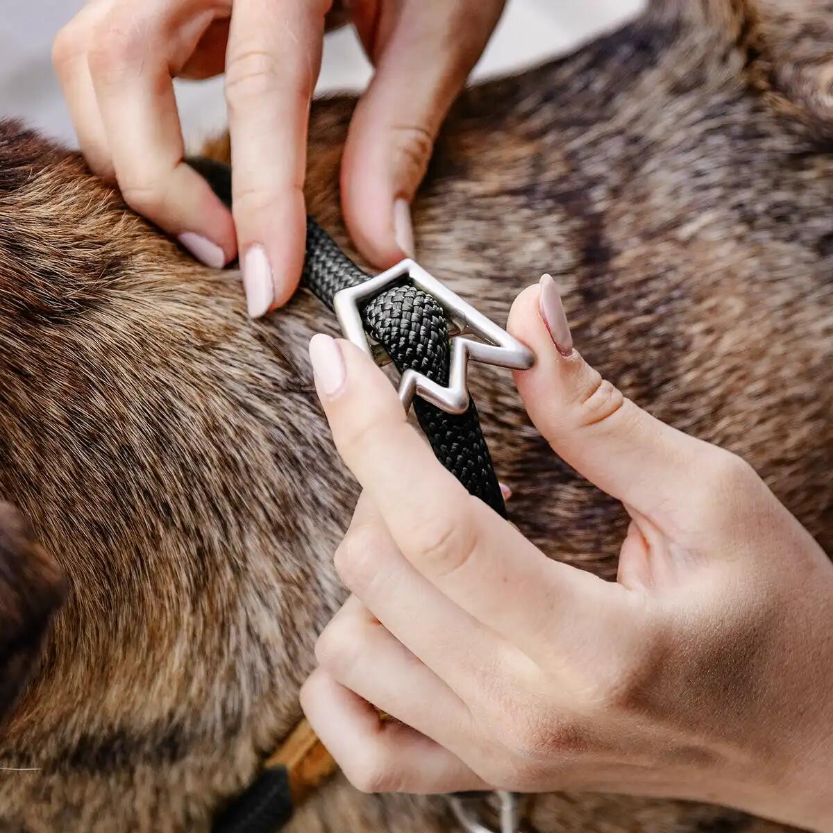 Zugstop Hondenhalsband – Retriever Halsband met Stop, Zonder Wurgwerking 5/6