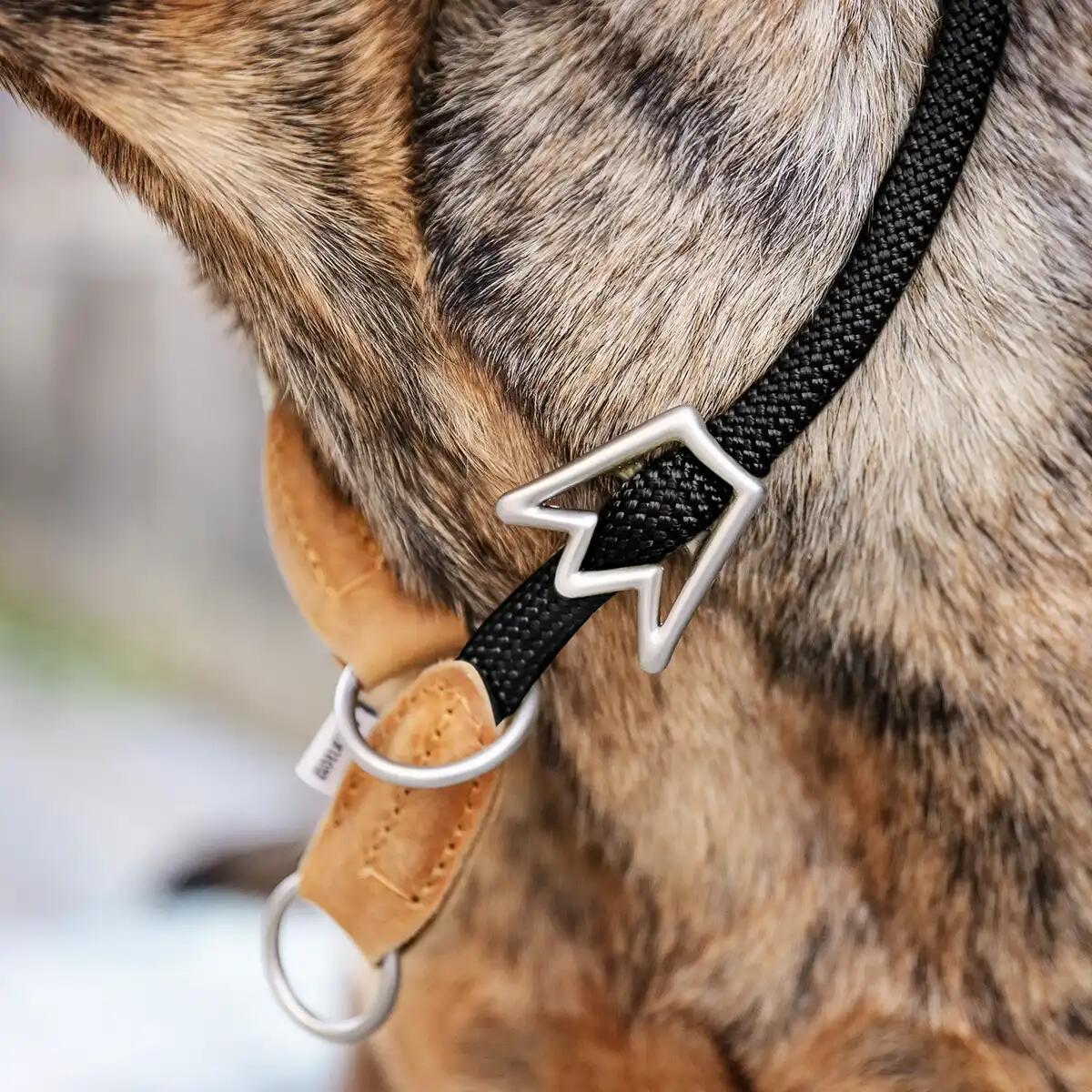 Zugstop Hondenhalsband – Retriever Halsband met Stop, Zonder Wurgwerking 4/6