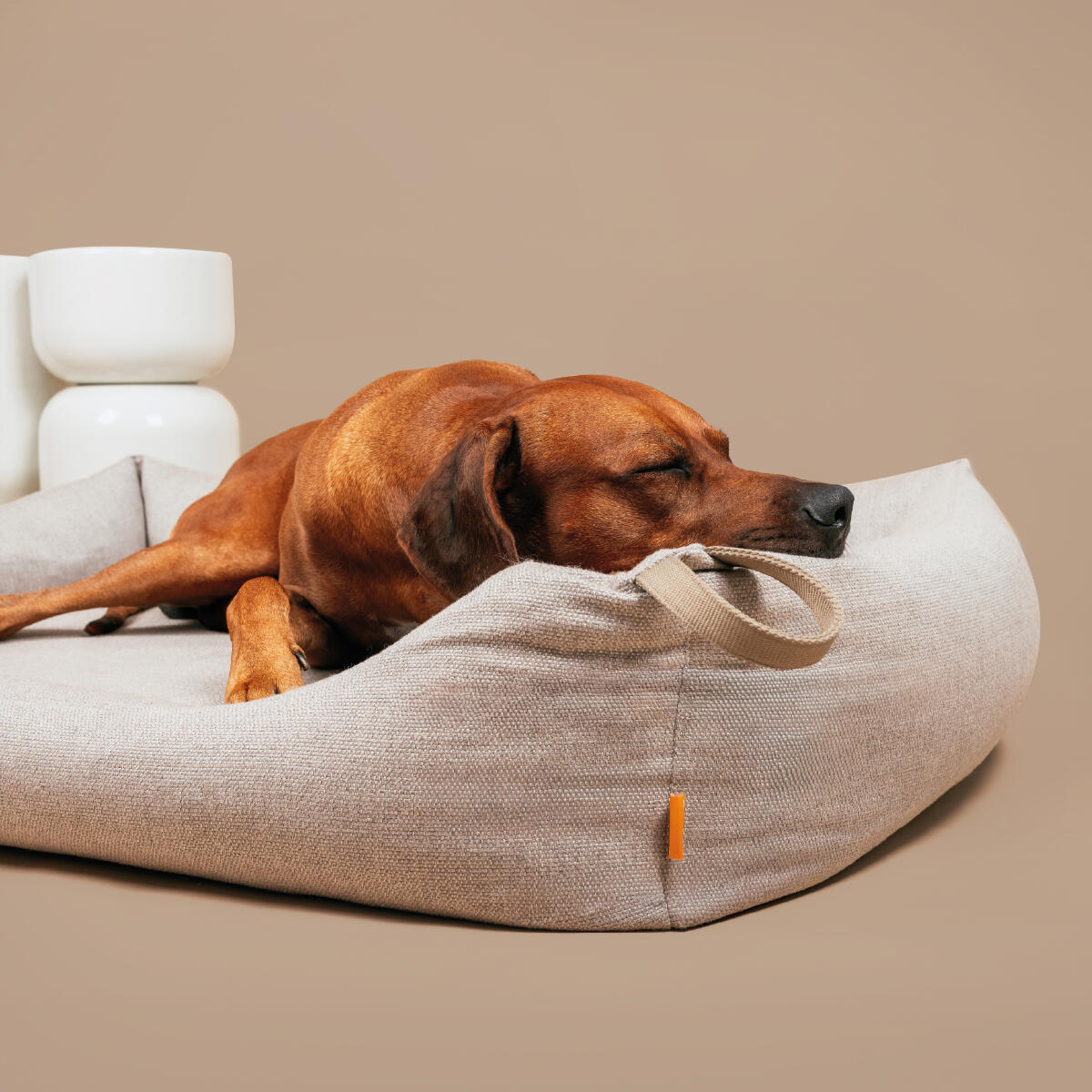 Panier Orthopédique pour Chien – Memory Foam, Robuste & Lavable 7/7