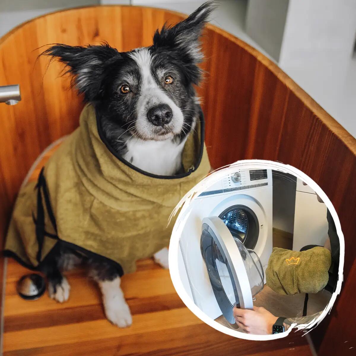 Rudelkönig Peignoir pour chiens en coton 2/6