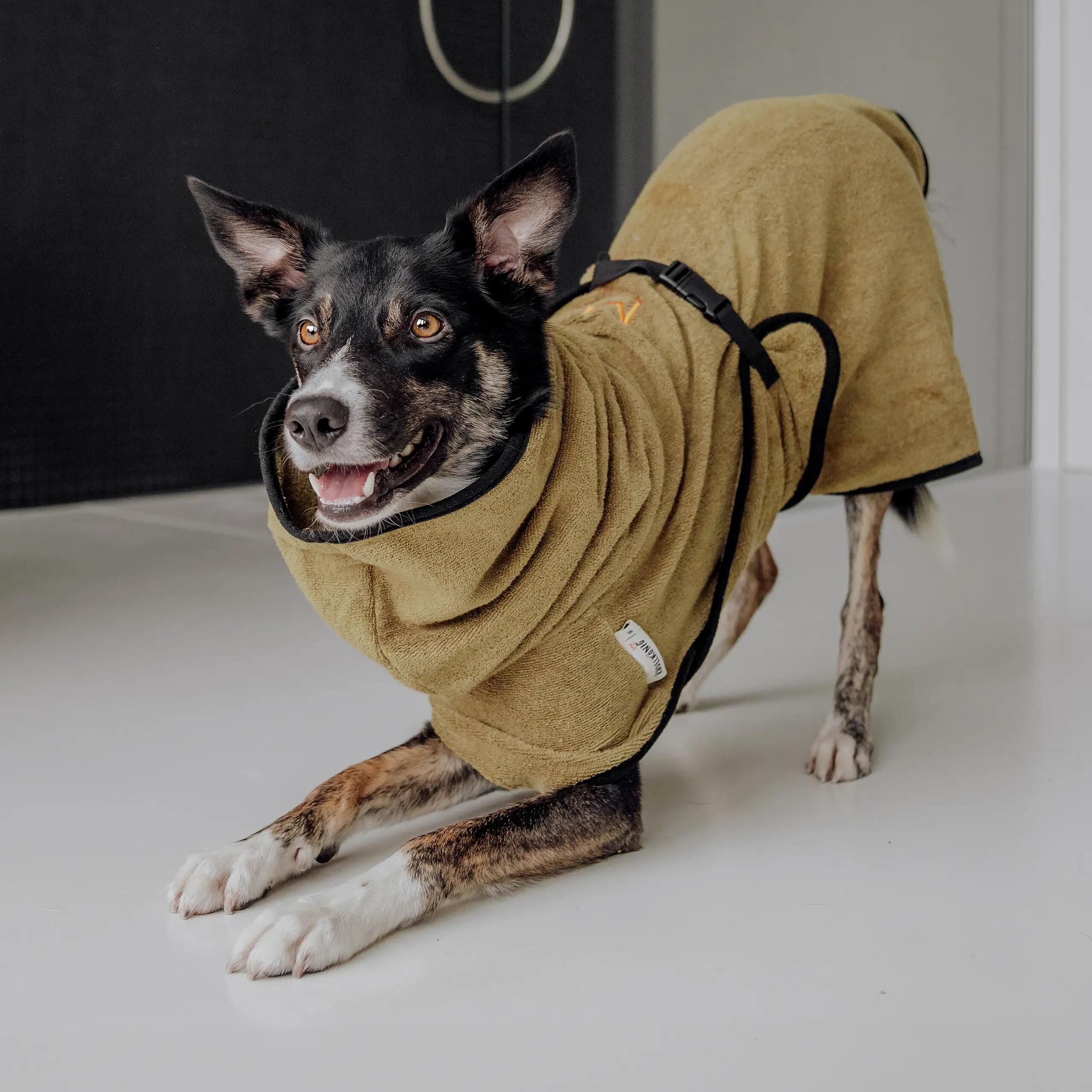 Rudelkönig Peignoir pour chiens en coton 4/6