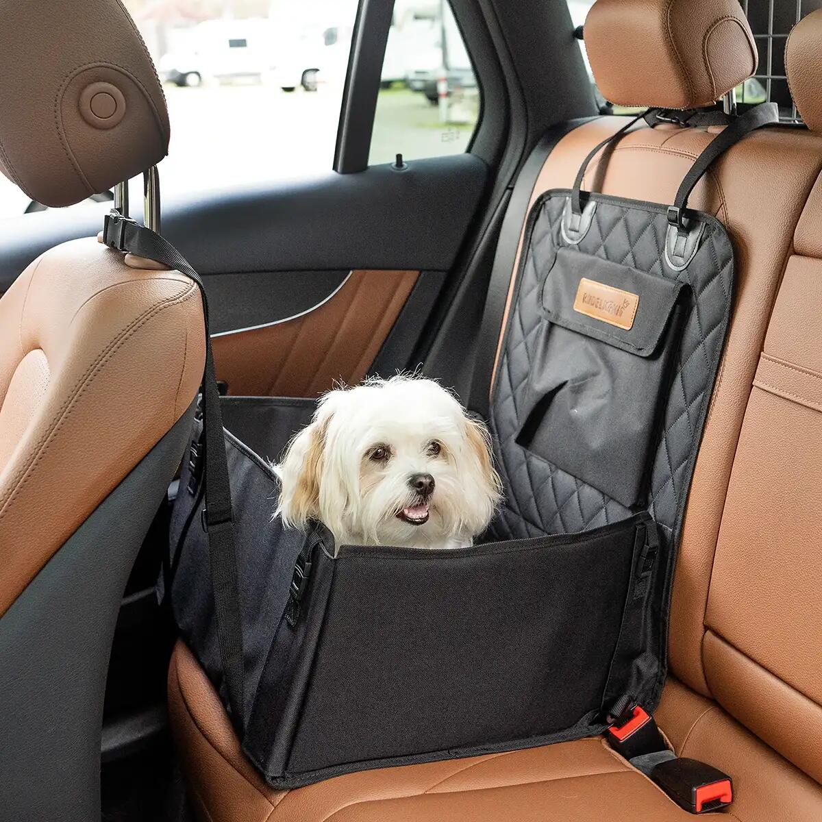 Sedile Auto per Cani – Seggiolino Rialzato e Sicuro per Viaggiare 2/6