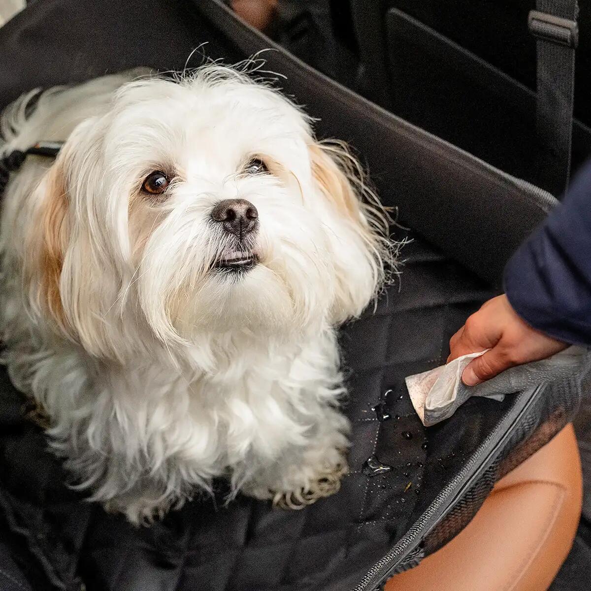 Sedile Auto per Cani – Seggiolino Rialzato e Sicuro per Viaggiare 5/6