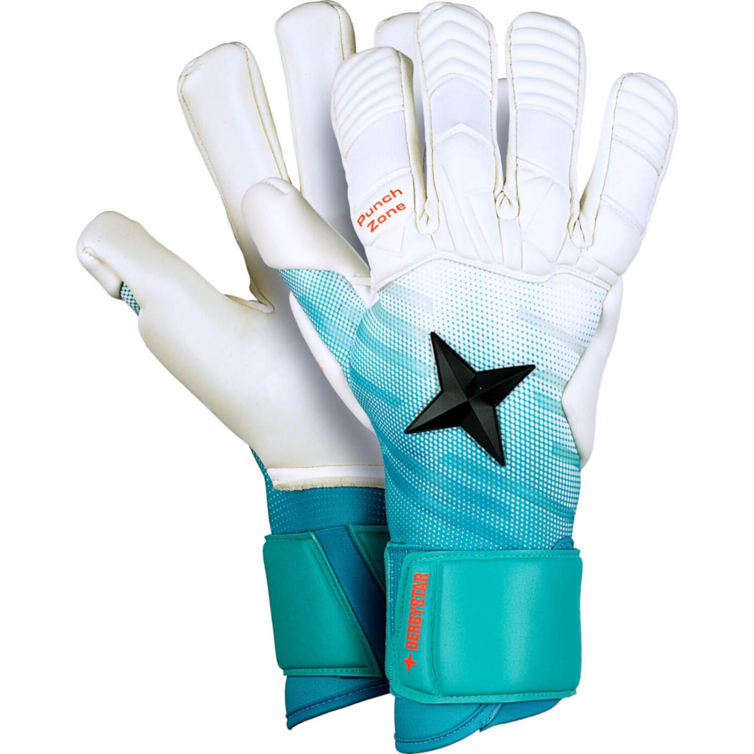 Derbystar Torwarthandschuhe APS Pro Grip Aqua v23 1/1