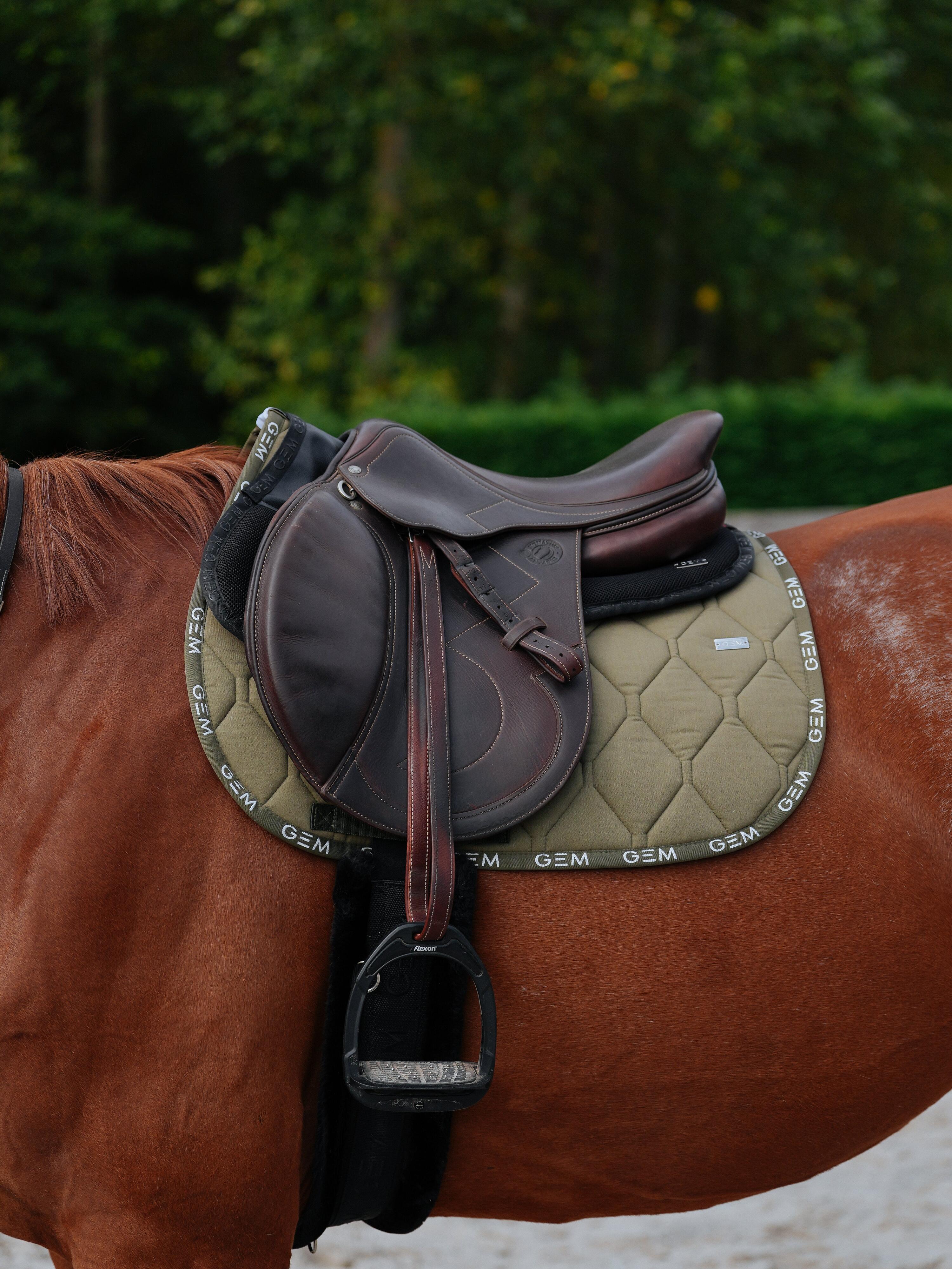 GEM EQUITATION picture