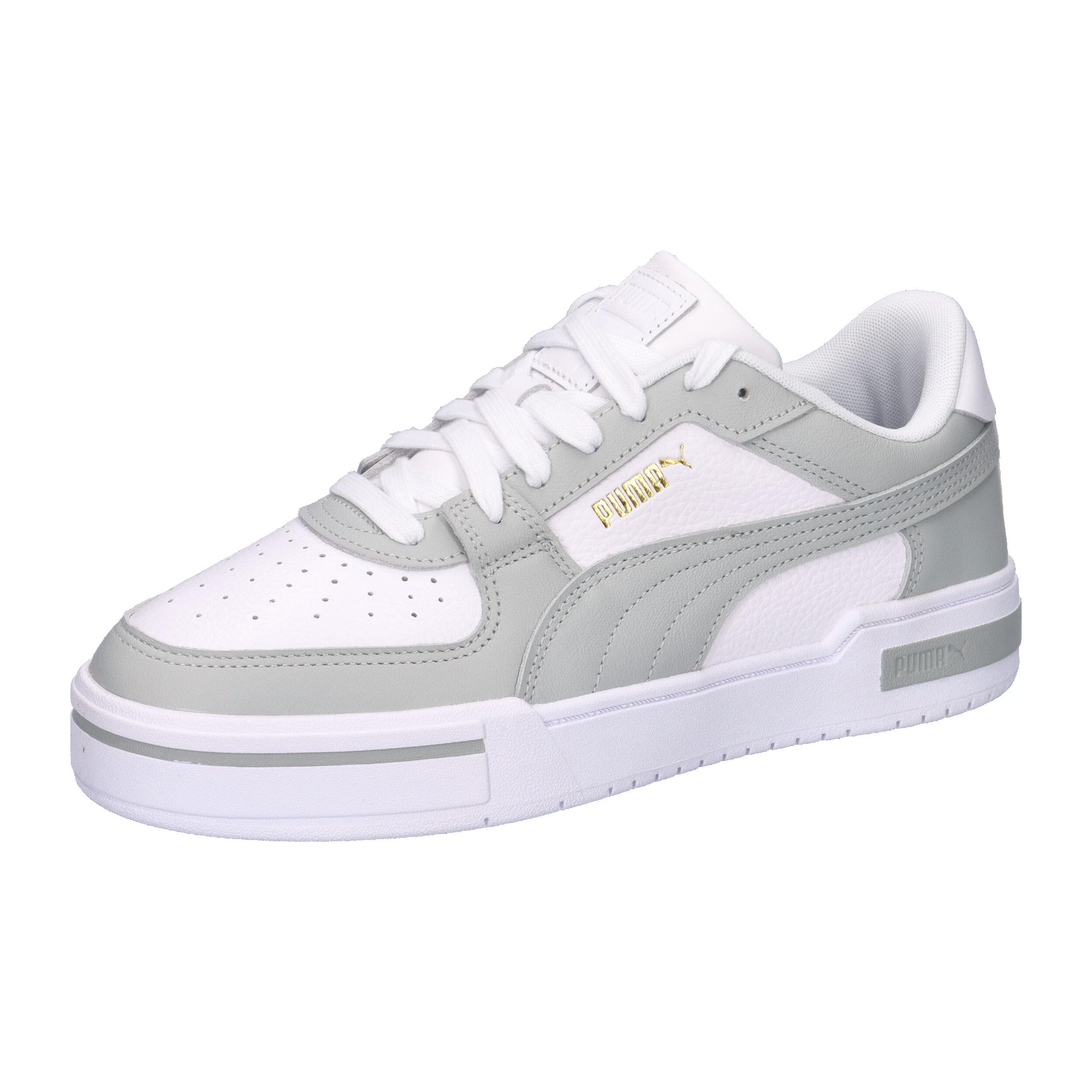 PUMA picture