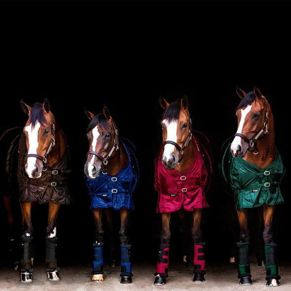 Guêtres Stable Boots Royal - Back On Track 2/2