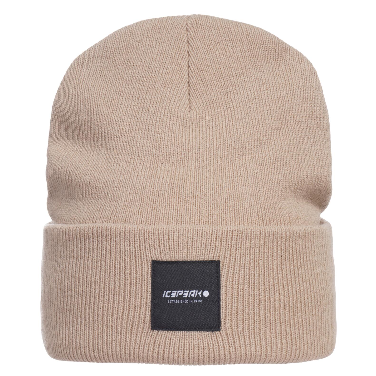 ICEPEAK picture
