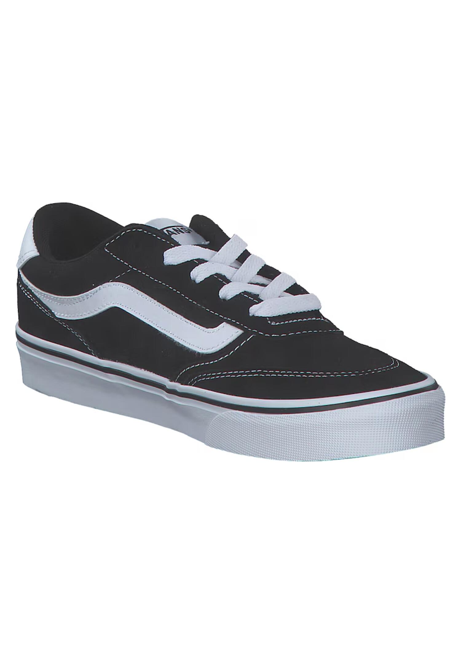 VANS picture