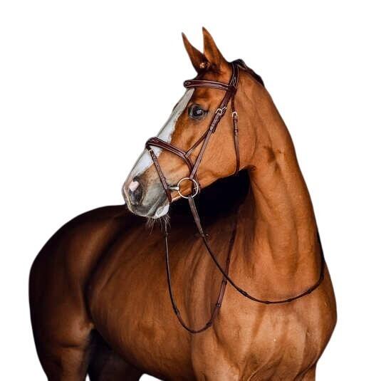 Bridons équitation pour cheval à muserolle combinée pour cheval Horze Sion 3/3