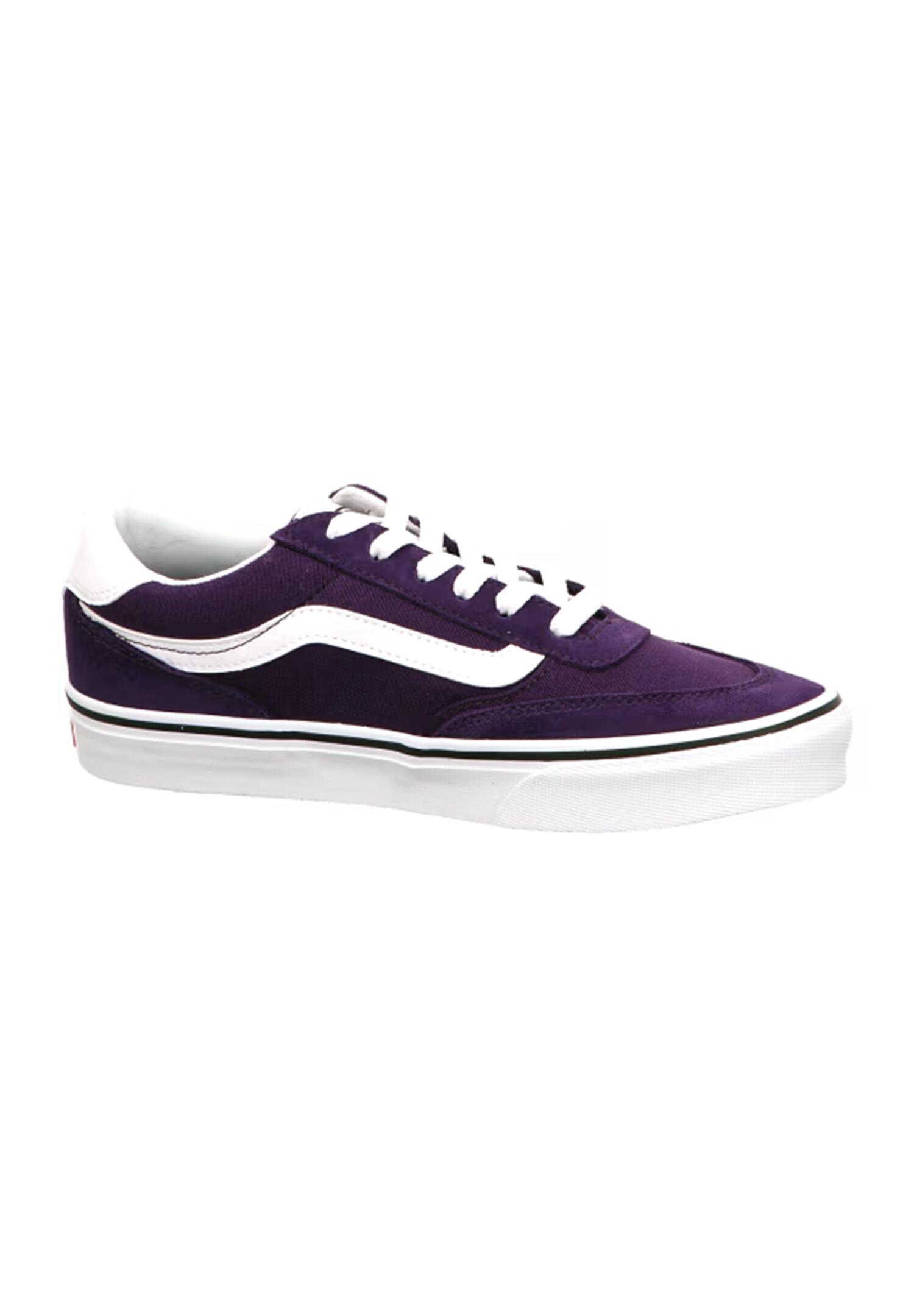 VANS picture