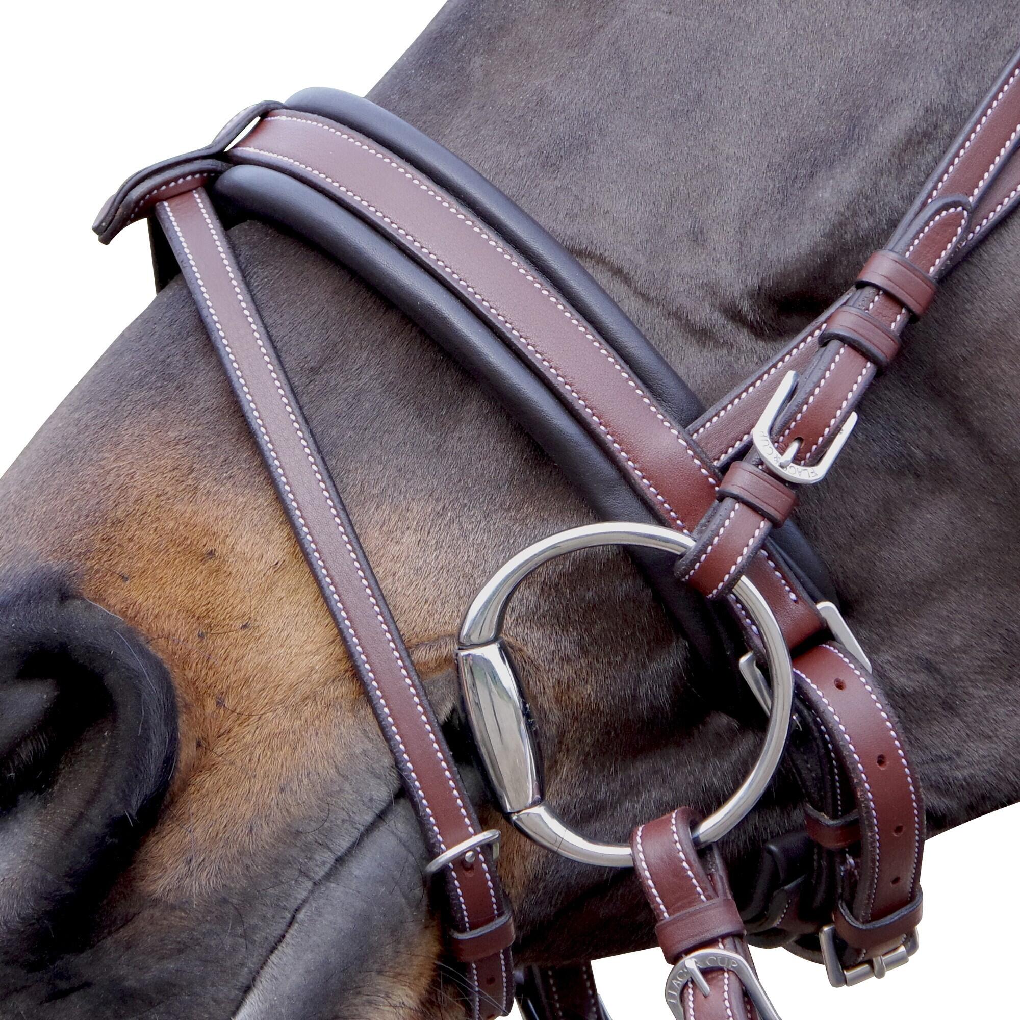 Bridons équitation Flags&Cup Madrid 3/4
