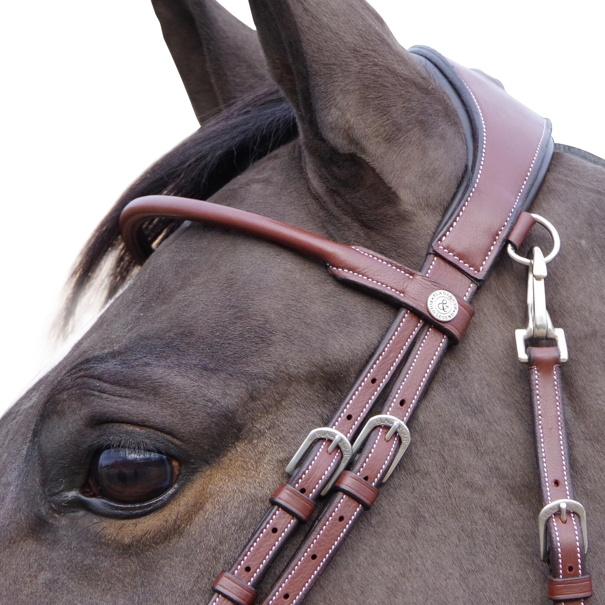 Bridons équitation Flags&Cup Madrid 2/4