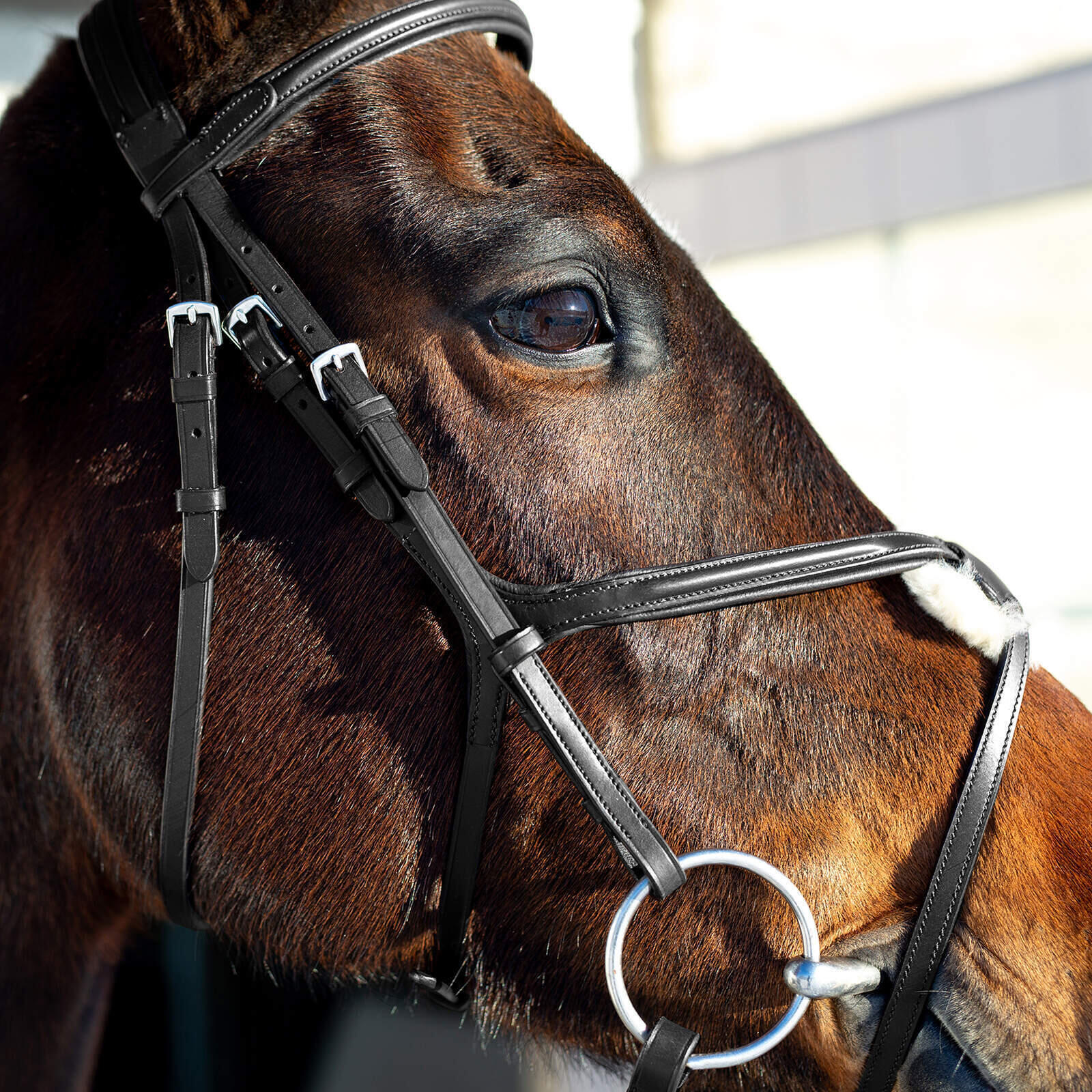 Bridons équitation pour cheval à muserolle pour cheval croisée Horze Prescott 2/5