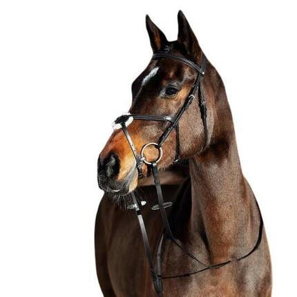 Bridons équitation pour cheval à muserolle pour cheval croisée Horze Prescott