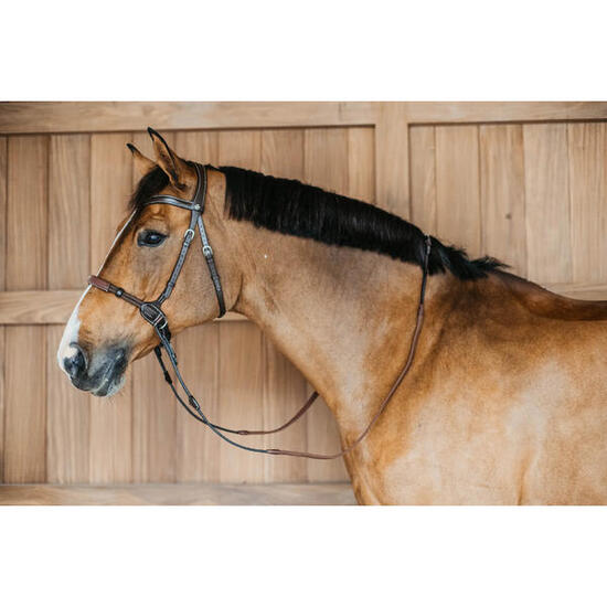 Gebisslose anatomische Trensen Dy’on