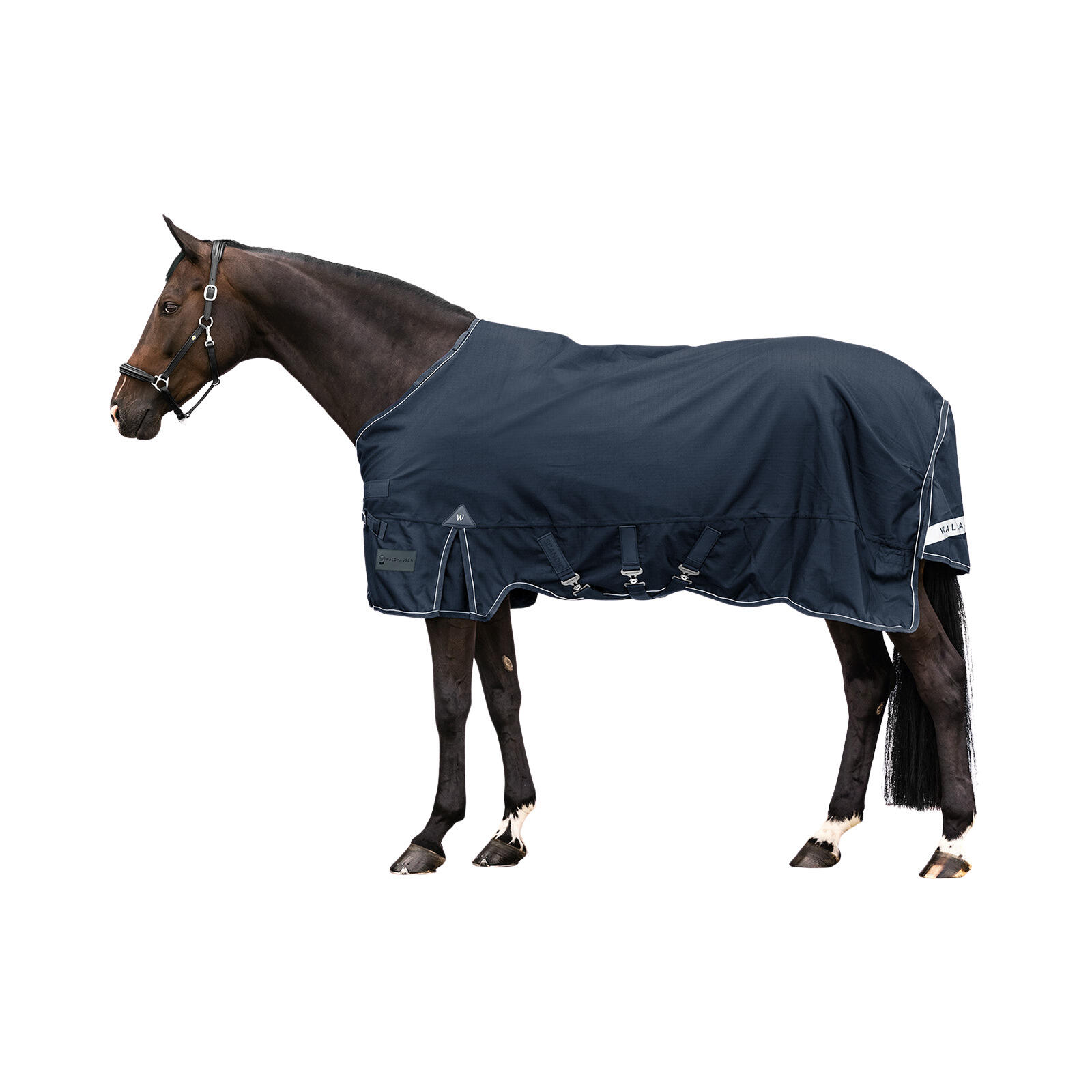 Waldhausen - Couverture D'Extérieur Pour Cheval Imperméable Waldhausen Light Scandic 0g - Couverture Cheval - Bleu - 130cm - Decathlon