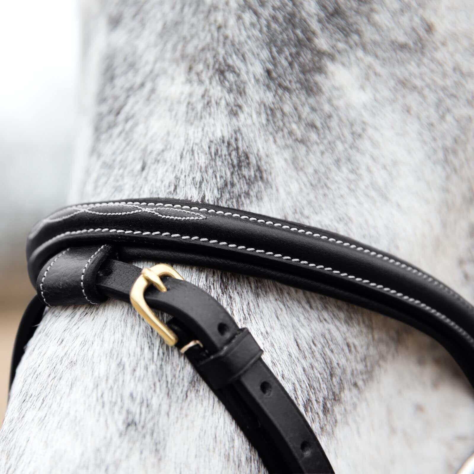 Bridons à muserolle pour cheval Horze Constance 4/4