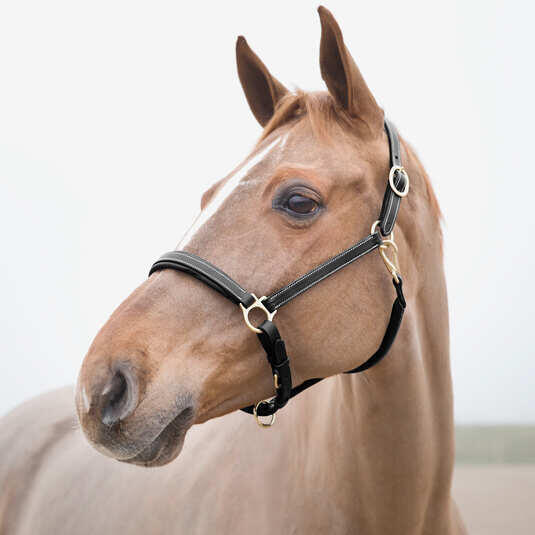 Cloches pour cheval Horze Largo