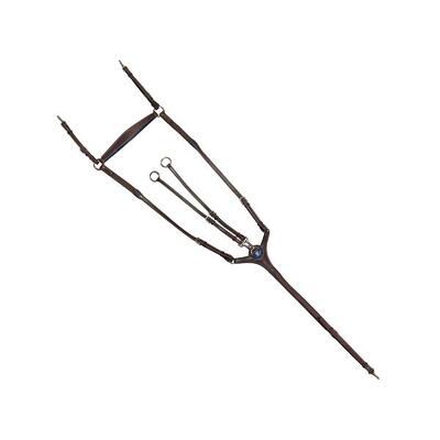 Gecombineerde hoofdstellen flags&cup paris