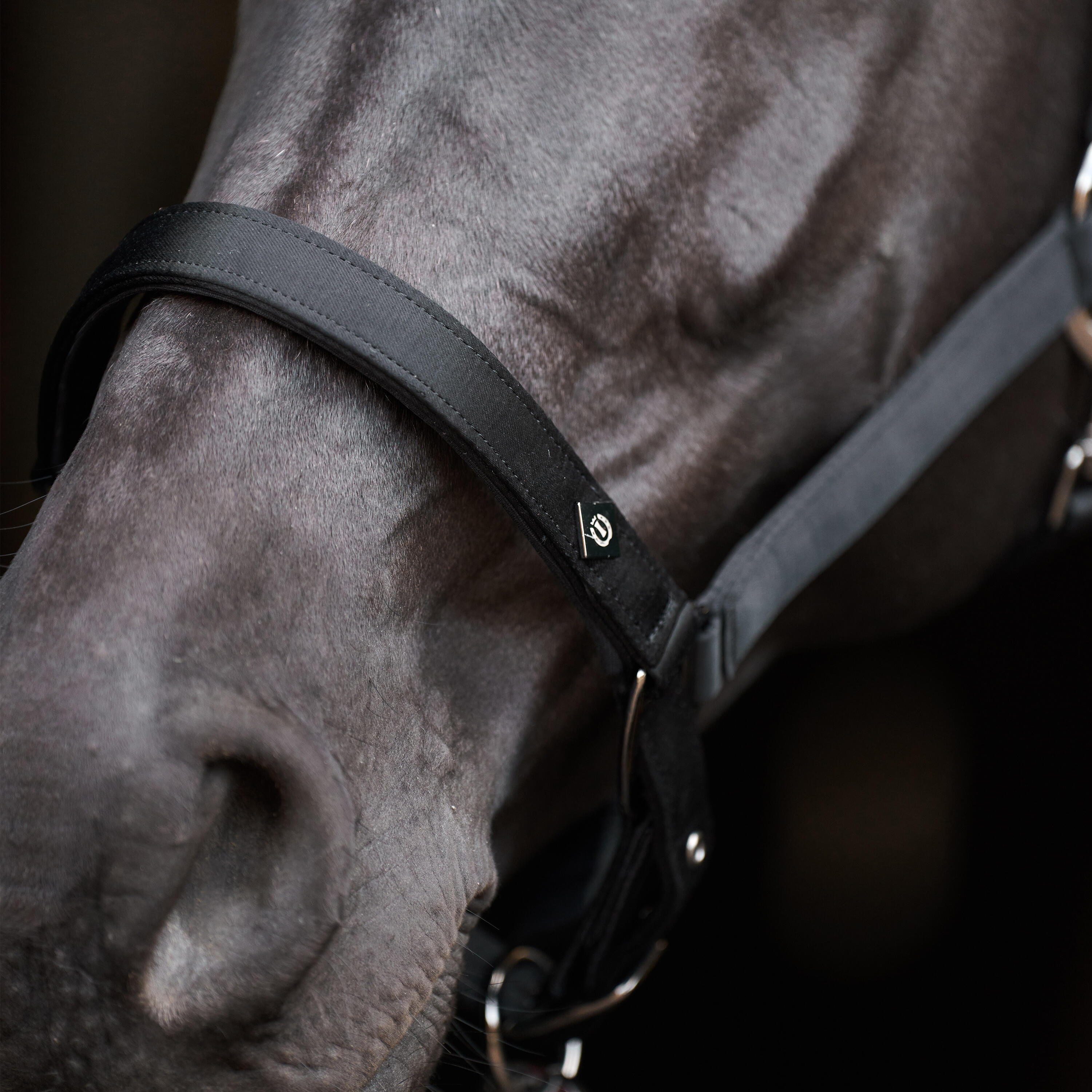 Licol pour cheval Imperial Riding Rebel 3/3