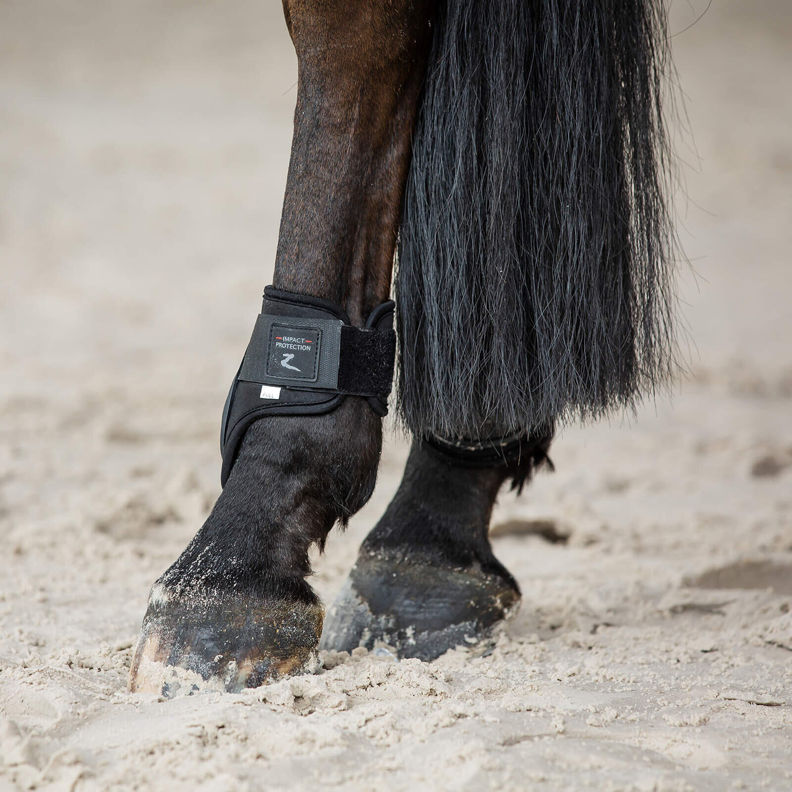 Ensemble de Guêtres antérieurs pour cheval Ouvertes protège-tendons et protège-b 7/7