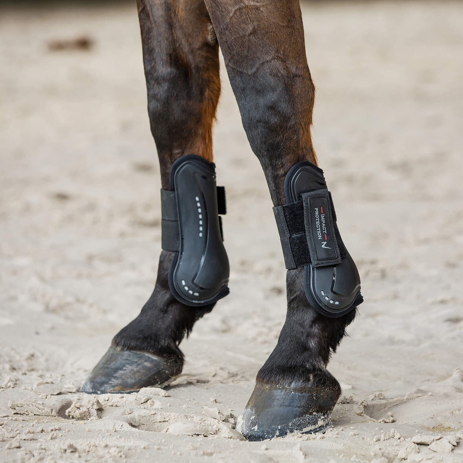 Ensemble de Guêtres antérieurs pour cheval Ouvertes protège-tendons et protège-b 4/7