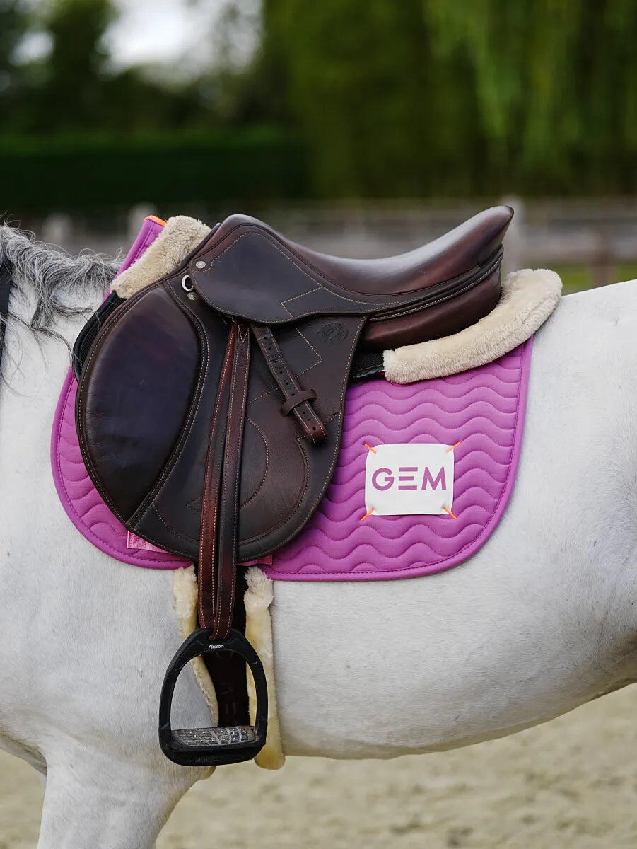 GEM EQUITATION picture