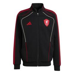 Veste de survêtement Liverpool FC UBP DKTT 2025/26