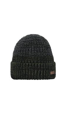 Arctic beanie heren mutsen green