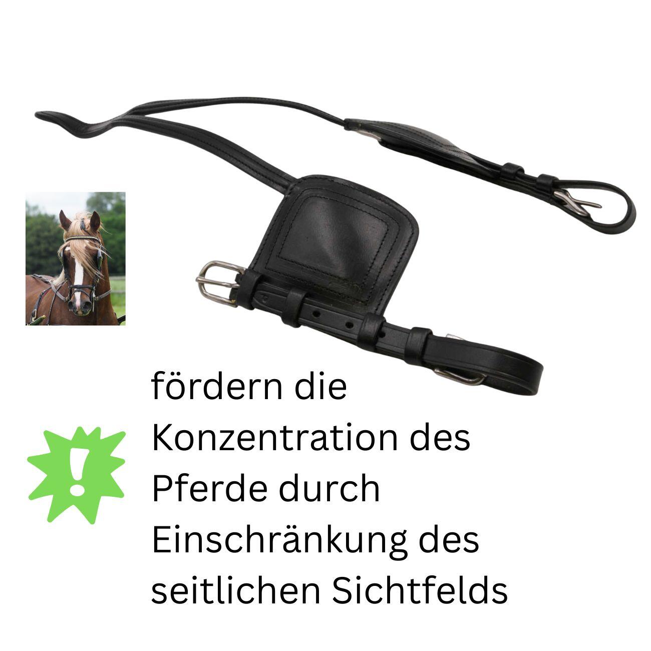 Fahrzaum Backenstücke mit Scheuklappen Leder, verstellbar, Kutschzubehör 3/4