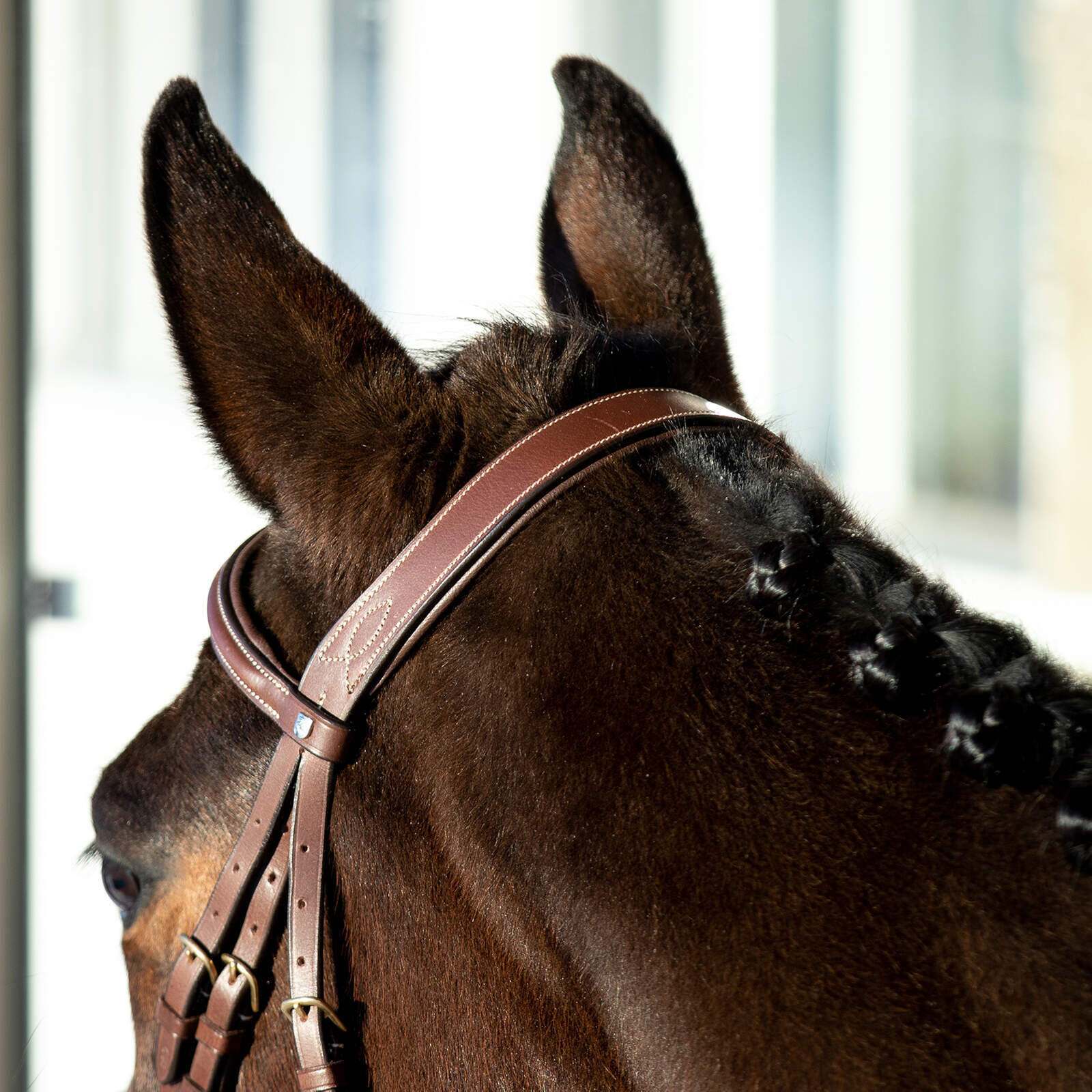 Bridons équitation pour cheval à muserolle combinée pour cheval matelassé Horze 5/6